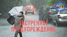 Ярославское МЧС предупреждает о сильном ветре и дожде