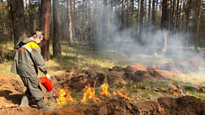 В Ярославской области установили камеры для поиска торфяных пожаров