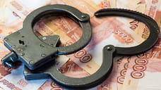 В Ярославле лже-сотрудница коммунальной службы украла у пенсионерки 365 тысяч рублей