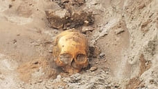 В Ярославле на Волжской набережной коммунальщики обнаружили череп и кости