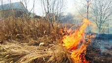 Ярославские нарушители пожарной безопасности в лесах выплатят 1,2 млн рублей