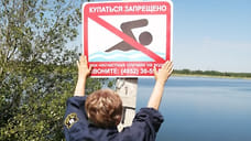 Роспотребнадзор признал пляжи Ярославля непригодными для купания