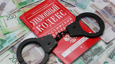 Ярославская лже-предпринимательница обвиняется в мошенничестве на 54 млн рублей
