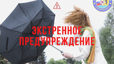В Ярославской области МЧС продлило предупреждение о сильном ветре до вечера 14 мая