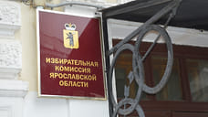 В Ярославской области на выборах 2022 года применят дистанционное электронное голосование