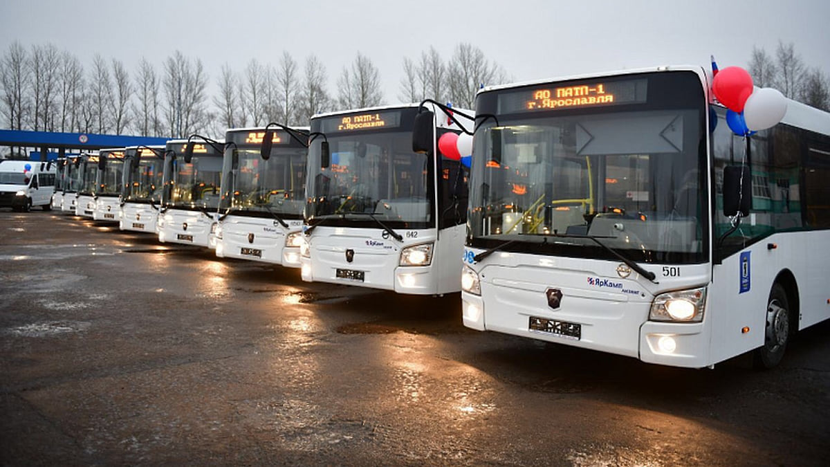 «ПАТП-1» с лета перестанет работать на автобусных маршрутах в Ярославле –  Коммерсантъ Ярославль