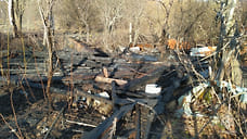 Девять строений сгорели из-за палов травы в Ярославской области