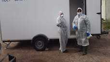 В Ярославской области ввели режим ЧС из-за птичьего гриппа