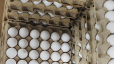 Ярославское УФАС проверит рост цен на яйца в регионе