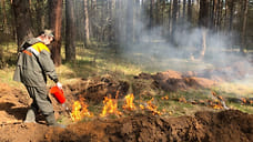 В Ярославской области в мае сгорело почти 20 гектаров сухой травы