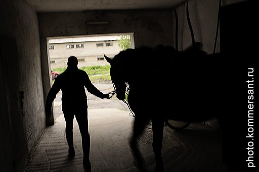 С КОНЕМ НА ВЫХОД&lt;br />
На улице только начинает рассветать, а Андрей Линер уже выводит первую лошадь на тренировку
