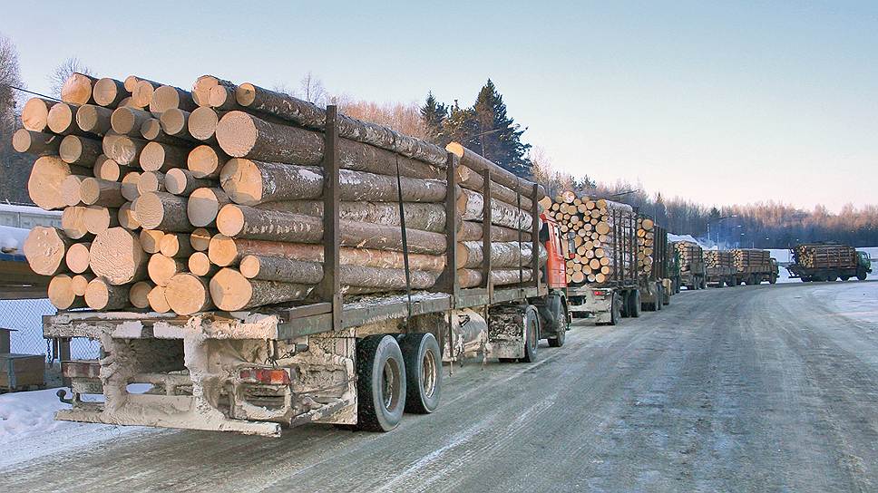 Перевозить лес на импортных лесовозах на 30% дешевле, чем отечественным транспортом. Однако большинство наших лесных дорог выдерживают только российские машины