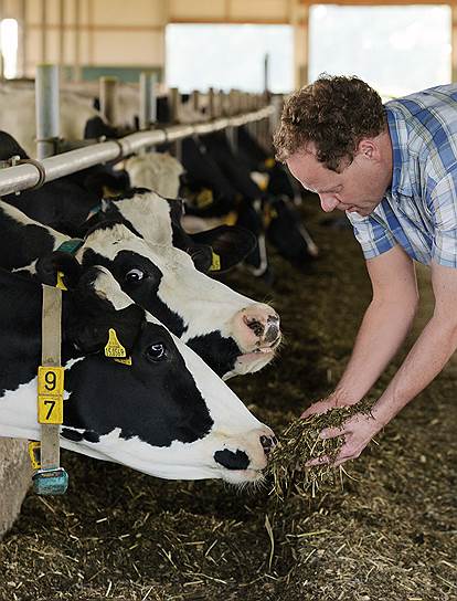 Немецкий фермер и не мечтал, что надои его коров когда-нибудь составят 800 тонн молока в сутки 
