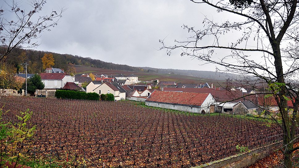 Во Франции вместе с виноградниками продаются и замки, и обычные жилые дома