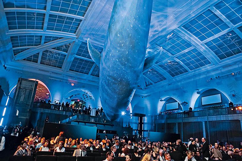Премьера фильма Джеймса Кэмерона &quot;Deepsea Challenge 3D&quot;, снятого по итогам экспедиции, состоялась в нью-йоркском Музее естественной истории 
