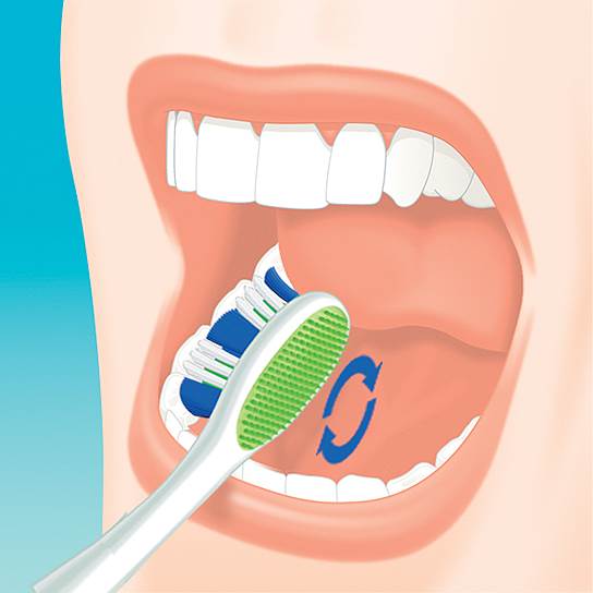 ослепительная улыбка на всю жизнь программа colgate. Смотреть фото ослепительная улыбка на всю жизнь программа colgate. Смотреть картинку ослепительная улыбка на всю жизнь программа colgate. Картинка про ослепительная улыбка на всю жизнь программа colgate. Фото ослепительная улыбка на всю жизнь программа colgate