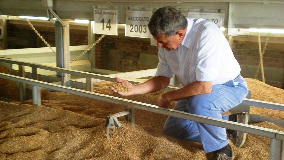 Самый известный итальянский рис Acquerello производят в городе Верчелли 

