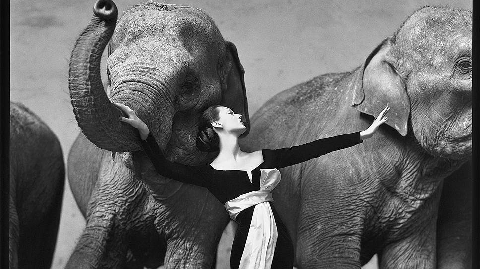 Модель Довима в цирке д&#39;Ивер. Париж, 1955 год