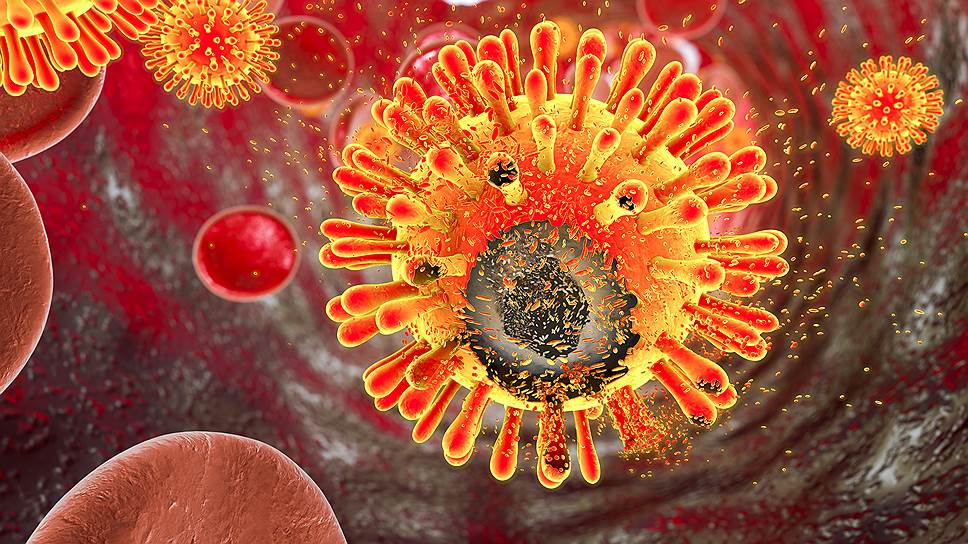 Примерно так выглядит один из самых изученных микроорганизмов — вирус иммунодефицита человека 
