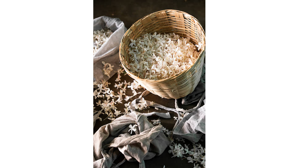 Выращивание жасмина в Индии