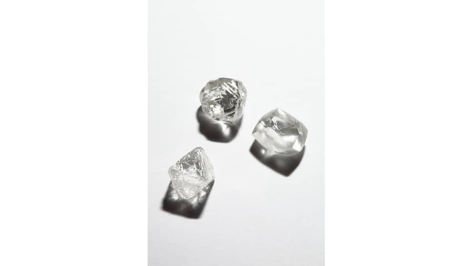 Неограненные алмазы в мастерских Tiffany в Антверпене