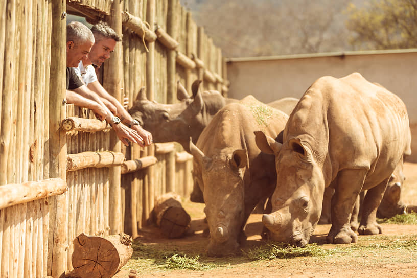 Hublot и SORAI на защите носорогов