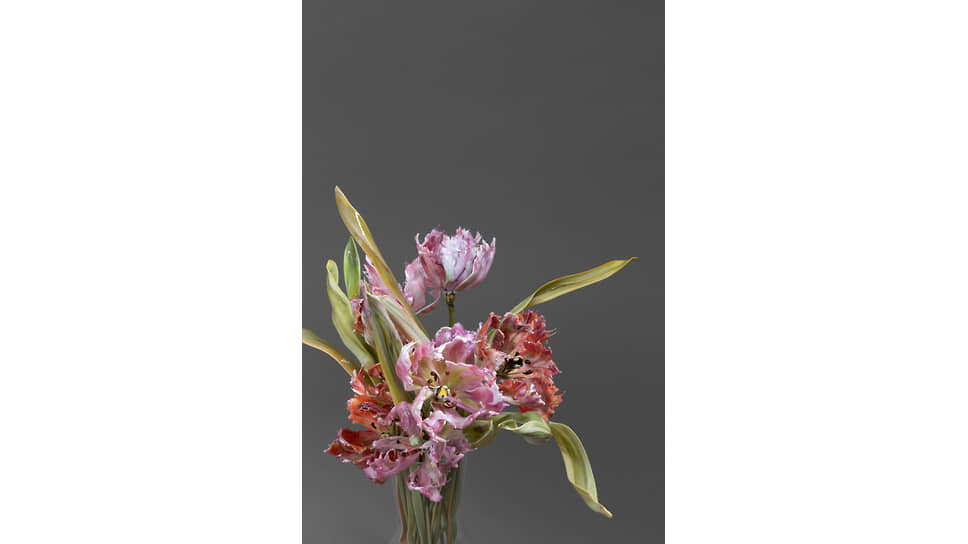 Букет тюльпанов Tulipani Pappagallo, муранское стекло