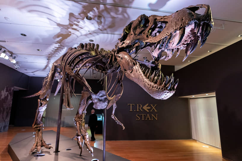 Стэн. Самый дорогой тираннозавр в мире. $31 847 500
