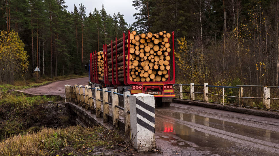 Почему падает экспорт леса из России