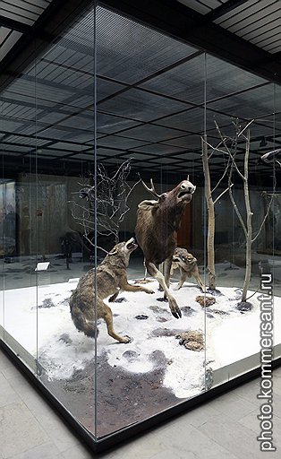 Государственный Дарвиновский музей
