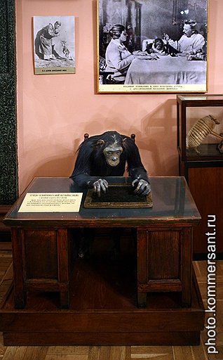 Музей «Уголок дедушки Дурова»