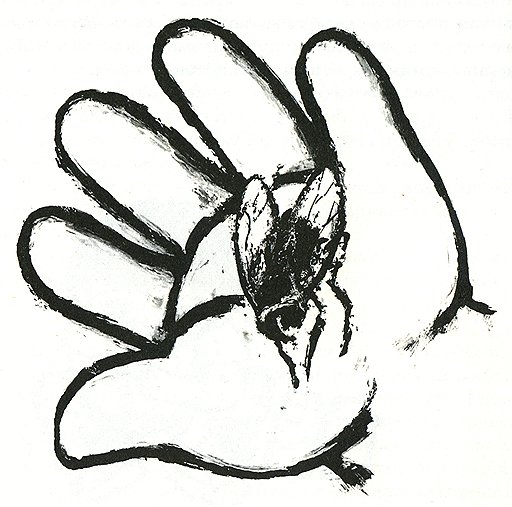 Иллюстрация из книги «Взгляд кролика»