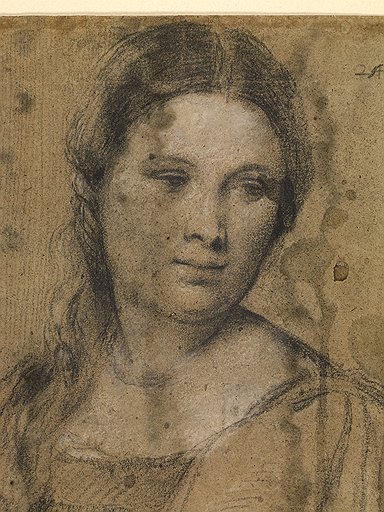 Тициан. Эскиз головы женщины, около 1510 года. Черная и белая пастель на голубой бумаге