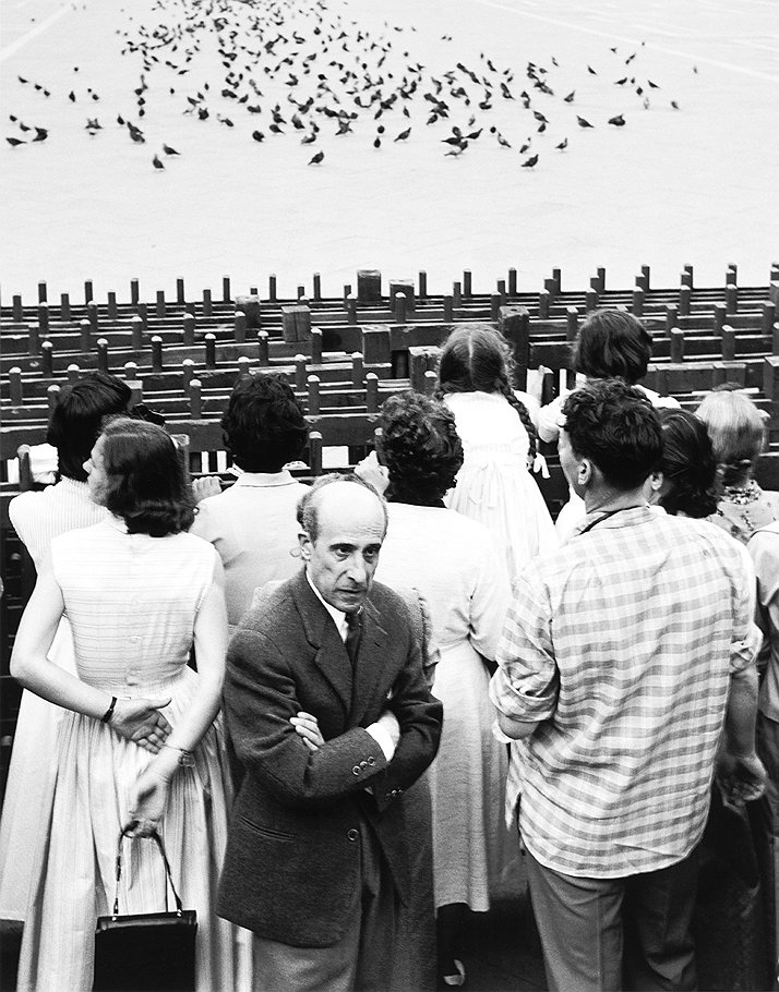 &quot;В ожидании процессии&quot;, Венеция, 1955 год