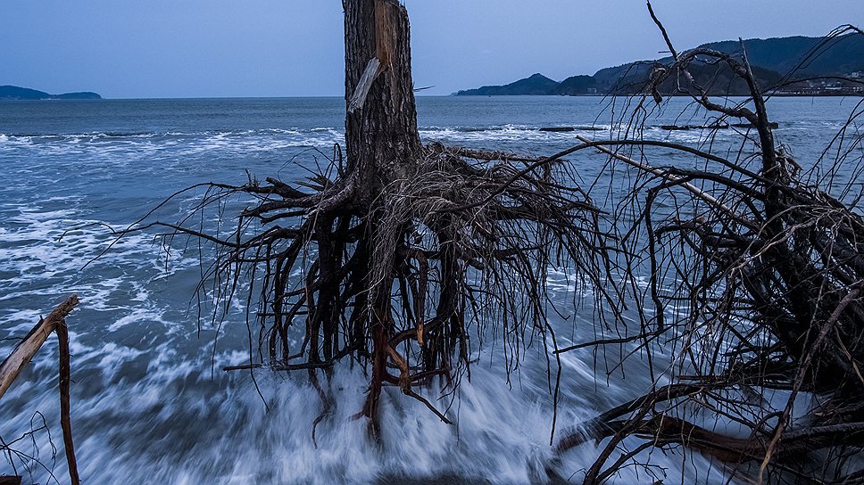 Даниэль Берехулак. «После волны», Япония