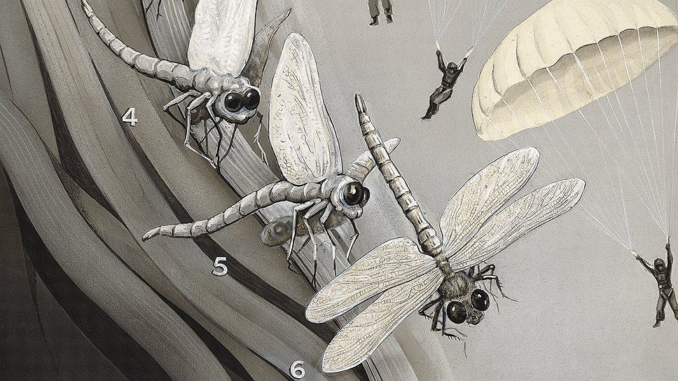 &quot;Развитие крыльев насекомых&quot;, &quot;Книга природы II&quot;, 1952 год 
