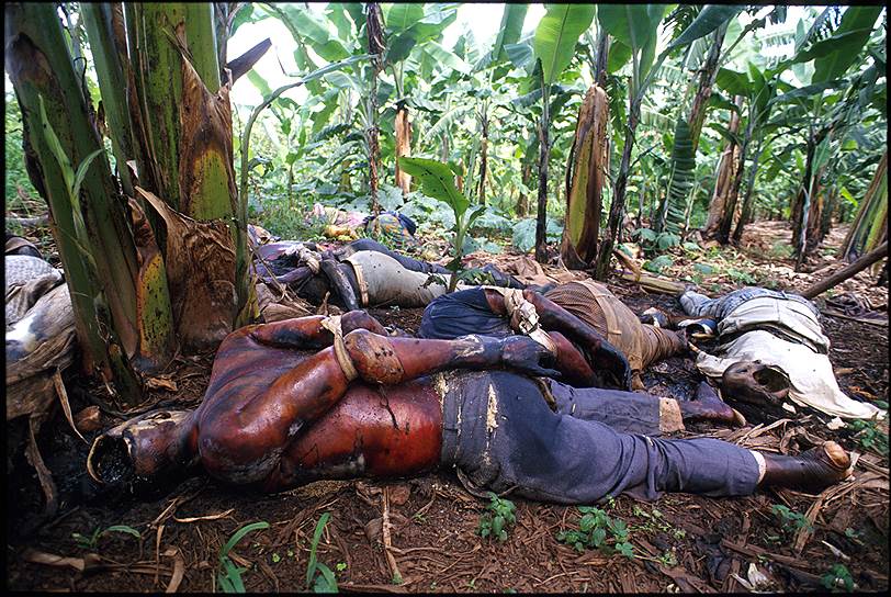 Тела убитых тутси, брошенные в пригороде Кигали, май 1994 года 