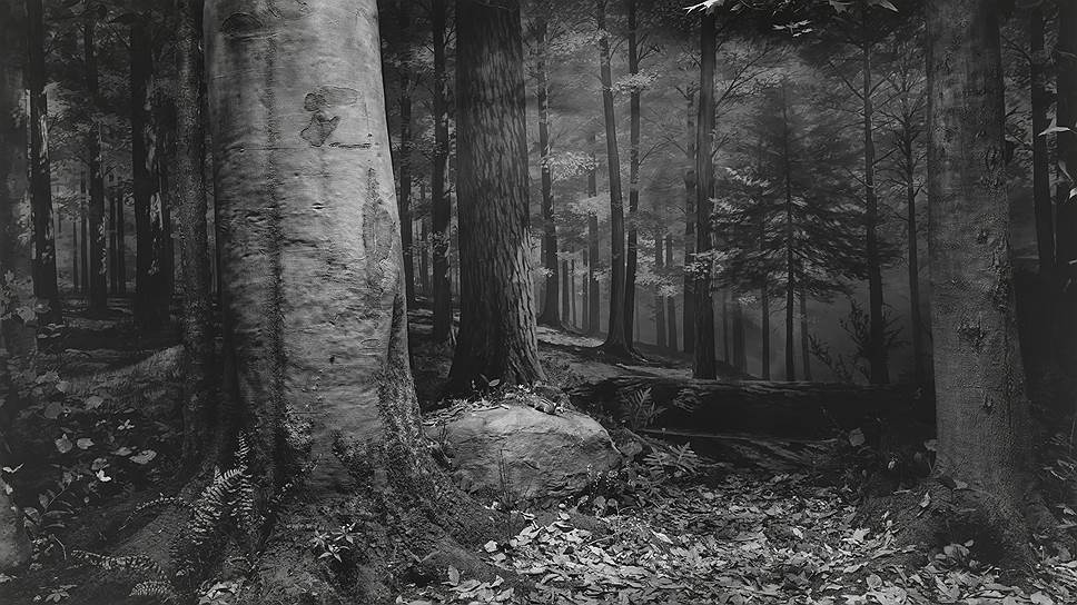 &quot;Нетронутый лес в Северной Пенсильвании&quot;, 1980 год 