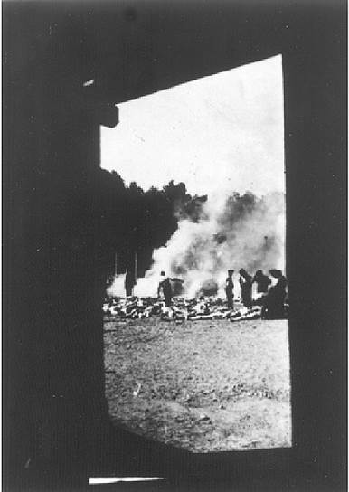 Фотографии, сделанные узником лагеря Аушвиц-Биркенау, август 1944 года