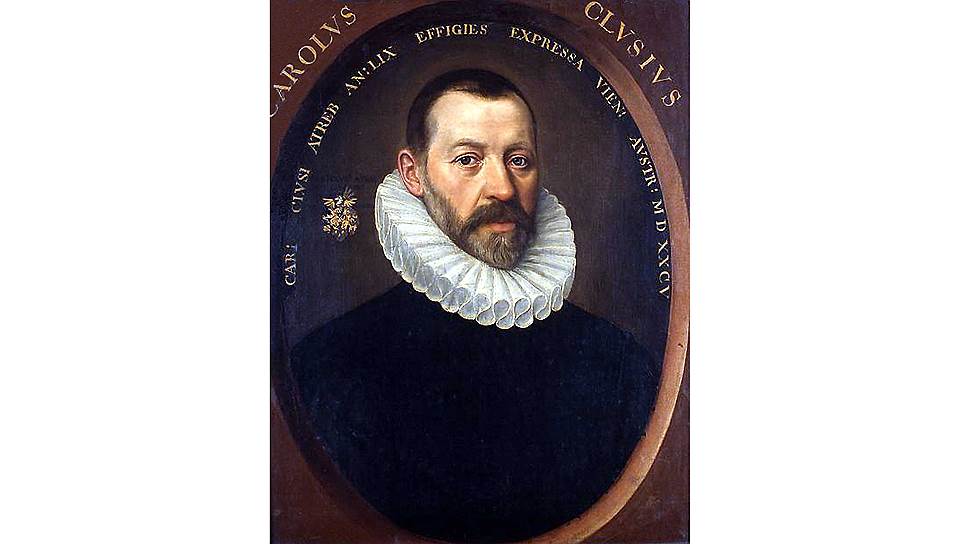 Якоб де Монте. «Портрет Карла Клузия», 1585 год