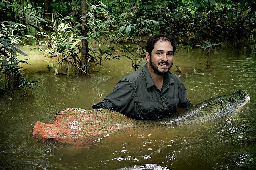 Жоао Кампос-Силва, разработавший программу спасения гигантских рыб Амазонки
