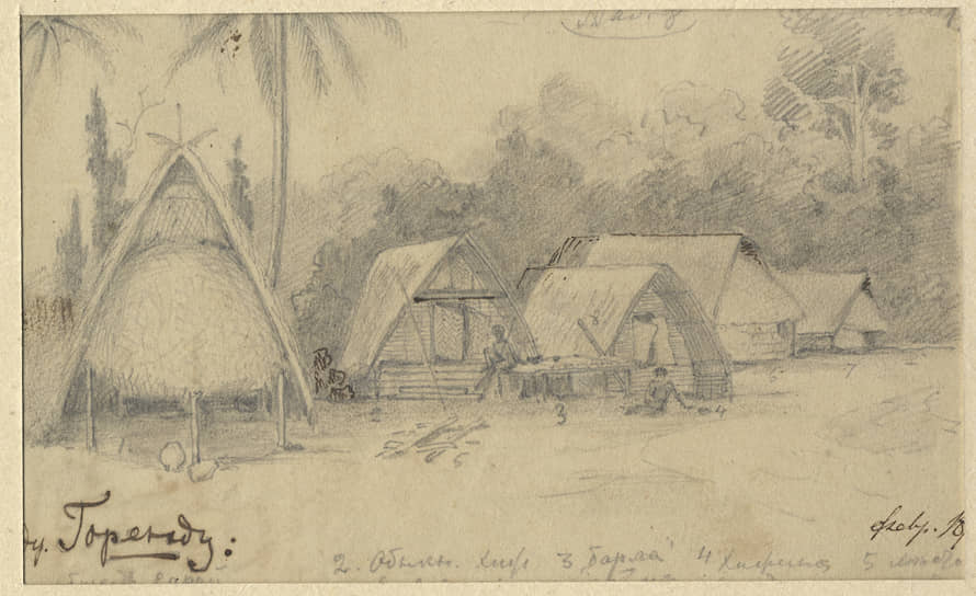 Вид деревни Горенду на Берегу Маклая. Рисунки Миклухо-Маклая
из экспедиции на Новую Гвинею