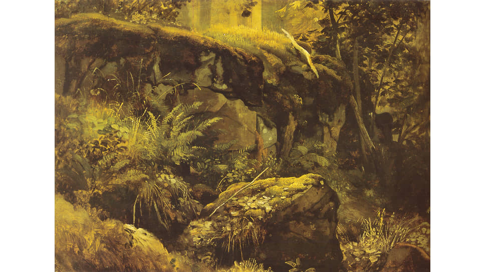 «Камни в лесу. Валаам», 1858–1860 