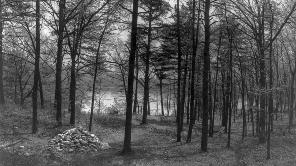 Уолденский лес и пруд, около 1908
