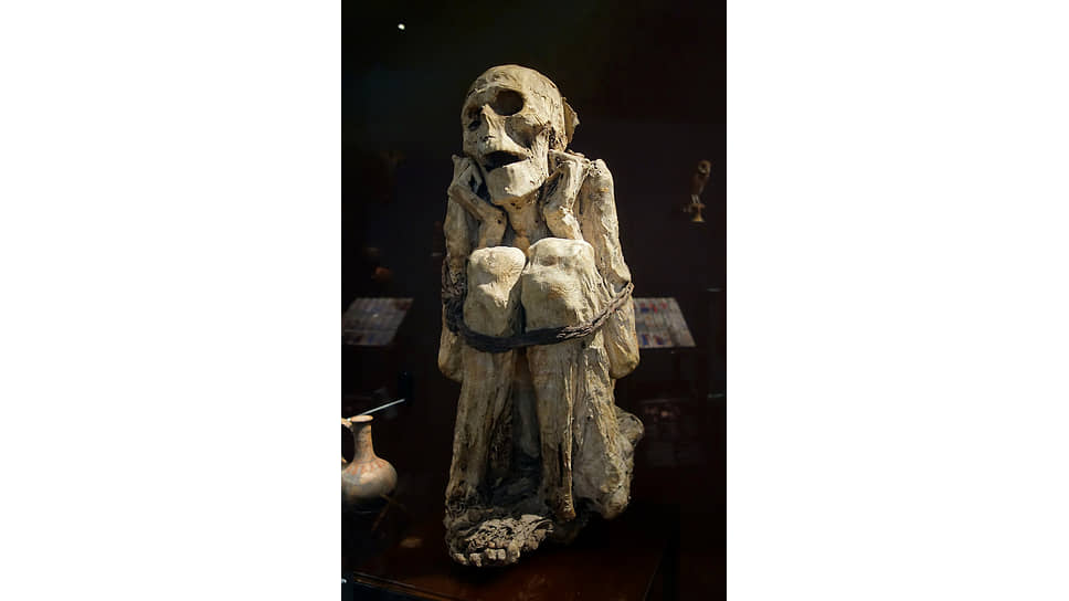 Перуанская мумия из Musee de l’Homme