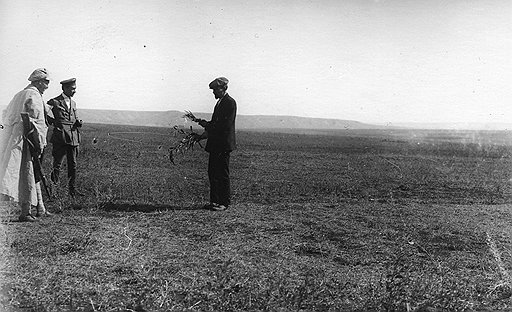Засуха 1921 года погубила посевы, вызвала голод и привела к массовым пожарам