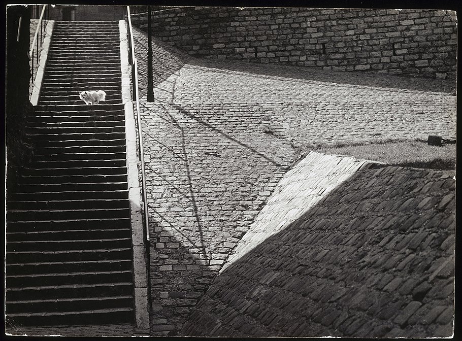 &quot;Собака на лестнице&quot;, 1932 