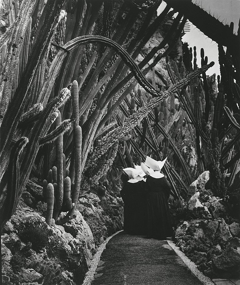 &quot;Экзотический сад в Монако&quot;, 1945 