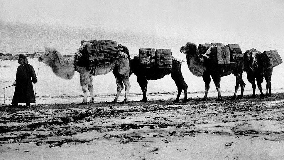 Из-за отсутствия дорог через горы медленно идущие по степям верблюжьи караваны считались в Синьцзяне самым надежным средством доставки товаров