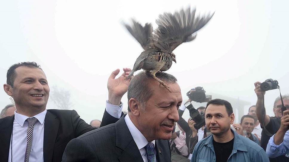 Эрдоган назначил новые выборы
